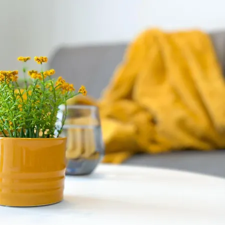 Daire Bursztyn Zator